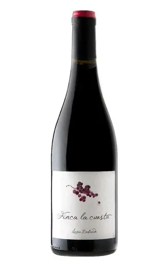 VinoCape Вино Luna Beberide Bierzo Finca la Cuesta