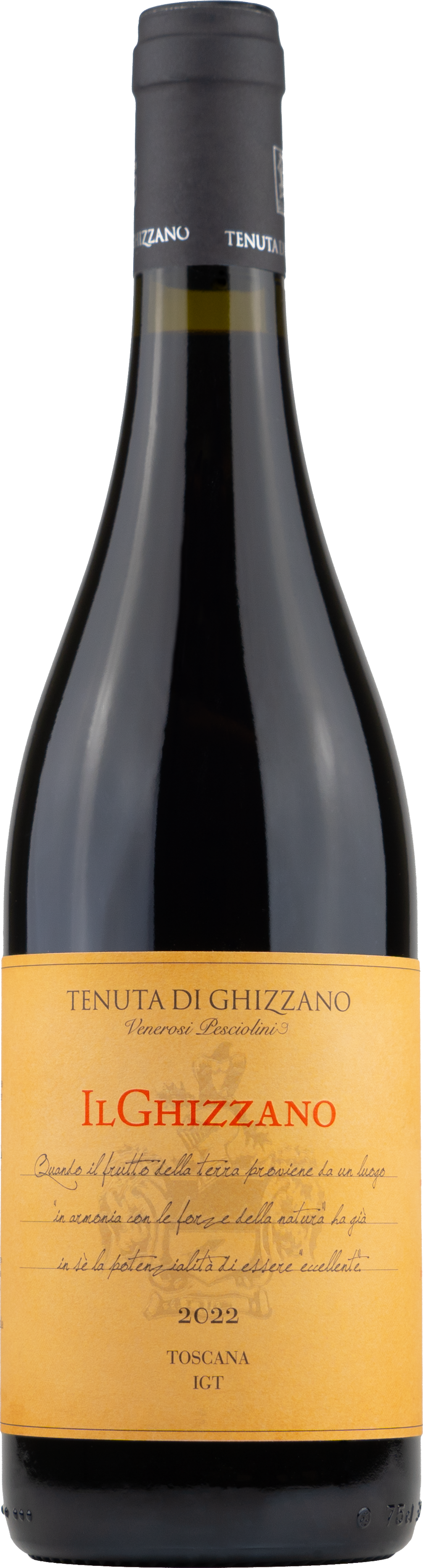 VinoCape Вино Tenuta di Ghizzano Il Ghizzano Costa